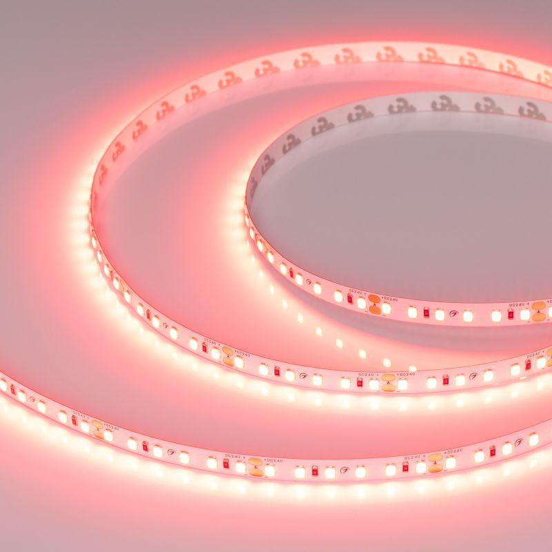лента светодиодная rt-a120-8mm 24v scarlet 9.6вт/м ip20 2835 (уп.5м) arlight 043383 от BTSprom.by