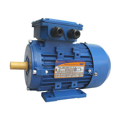 электродвигатель 5аи 63 в2 0.55/3000 im1081 элком 01.01.213526 от BTSprom.by