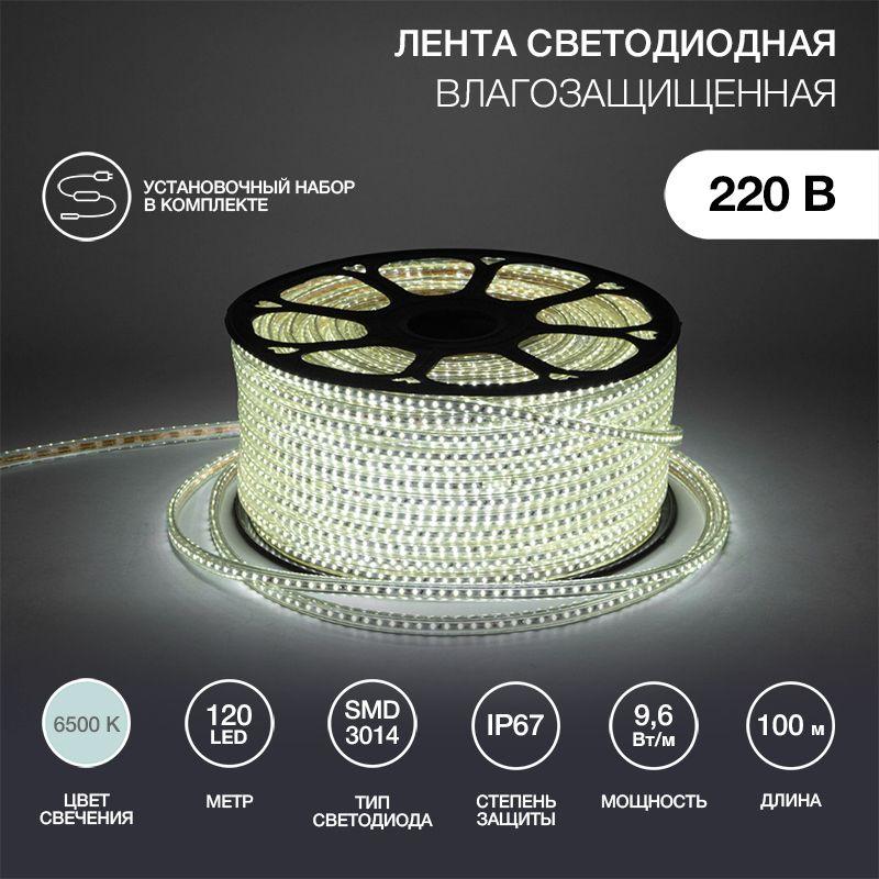 лента светодиодная smd3014 6х10.6мм 120led/м 220в ip67 бел. (уп.100м) neon-night 142-801 от BTSprom.by