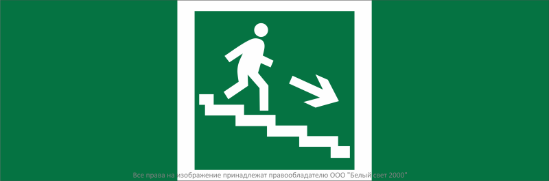 знак безопасности npu-3311.e13 "направление к эвакуационному выходу по лестн. вниз (прав.)" белый свет a32676 от BTSprom.by
