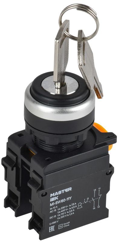 переключатель 2 полож. 1но+1нз с ключом черн. master iek mi-sw60-11y-3-34-2-k02 от BTSprom.by