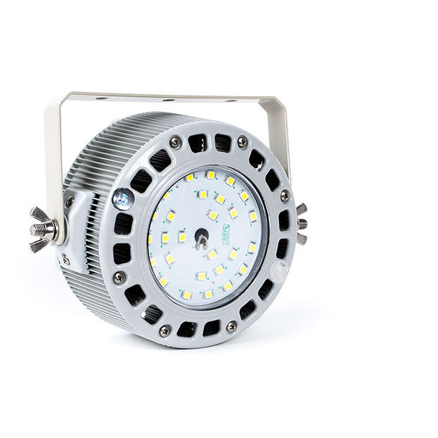 светильник светодиодный псс-30 колобок д ip66 4000к крепление скоба фокус pss00-030d0dde03f06000 от BTSprom.by