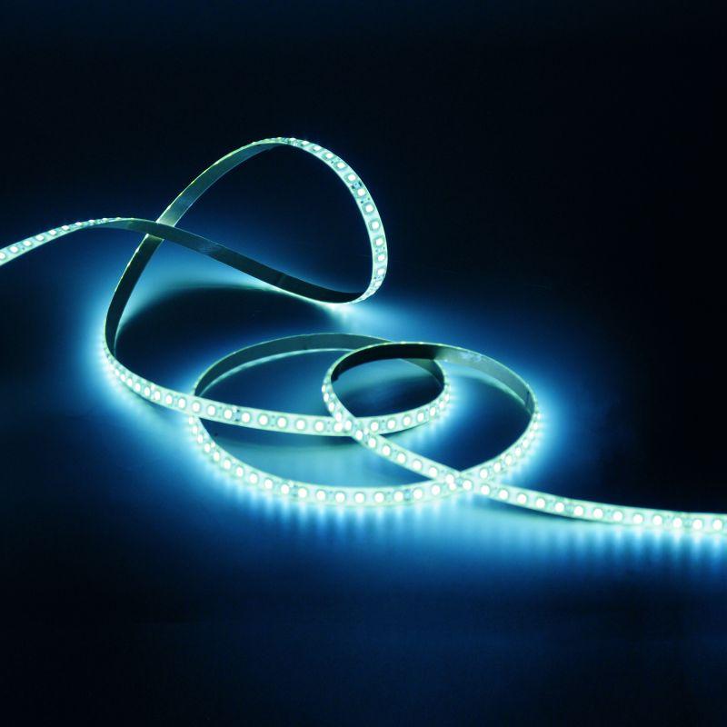  Лента светодиодная Elementary 2835/120-SMD 9.6Вт/м 6500К холод. бел. IP66 290лм/м 12В 8мм (уп.5м) GAUSS 356000310 фото в каталоге от BTSprom.by