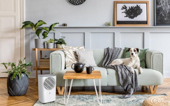  Осушитель воздуха RD-CR10-E ROYAL Clima НС-1337566 фото в каталоге от BTSprom.by