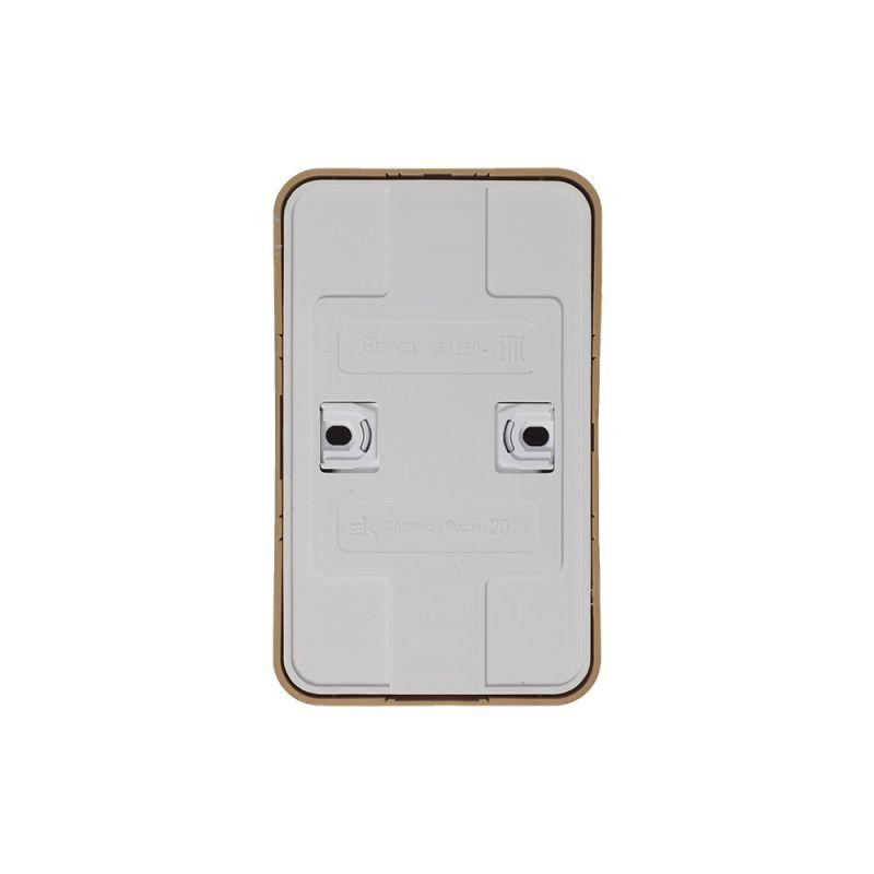  Розетка 2-м ОП Blanca 16А IP20 250В с заземл. защ. шторки с изолир. пластиной ясень SE BLNRA011215 фото в каталоге от BTSprom.by