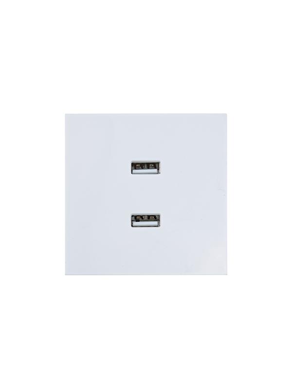  Розетка 2-мест. USB разъем СП ZIMA IP20 бел. LEZARD 704-0288-192 фото в каталоге от BTSprom.by