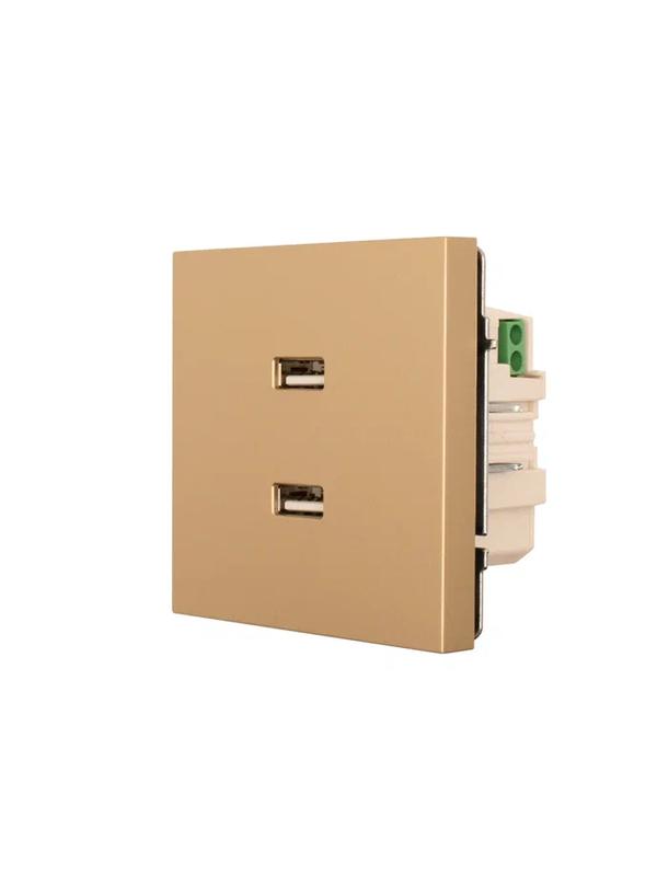  Розетка 2-мест. USB разъем СП ZIMA IP20 зол. LEZARD 704-3688-192 фото в каталоге от BTSprom.by