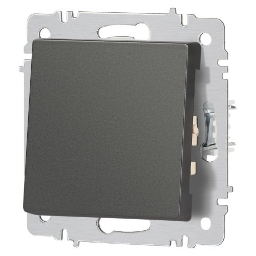  Кнопка Accent 6-109-07 10А-250В IP20 СУ графит Intro Б0063617 фото в каталоге от BTSprom.by