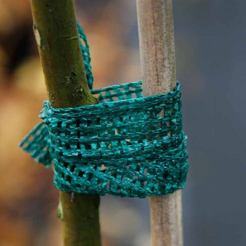  Лента для подвязки 3м (160/1920) Green Apple Б0008304 фото в каталоге от BTSprom.by