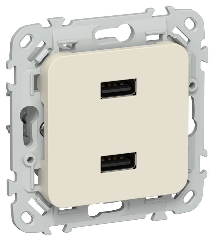 розетка usb сп flite рю-2-флсл aa 2.1а механизм сливочный iek fi-u21-d31-k86 от BTSprom.by