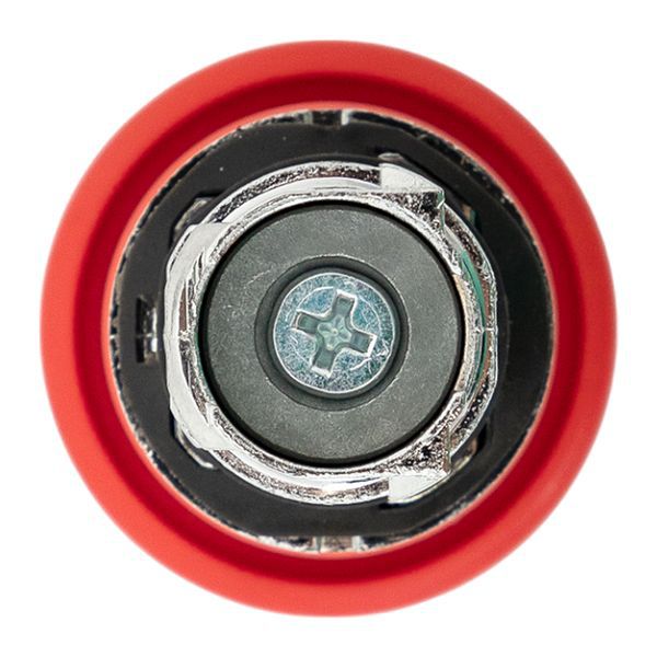  Механизм кнопки исполнительный XB4 "Грибок" IP65 возвратный без фиксации без подсветки красн. EKF XB4BC-R-65 фото в каталоге от BTSprom.by