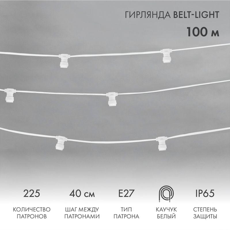 гирлянда "белт лайт" 2жил. шаг 40см патроны e27 1320вт ip65 влагостойкая провод бел. (уп.100м) neon-night 331-252 от BTSprom.by