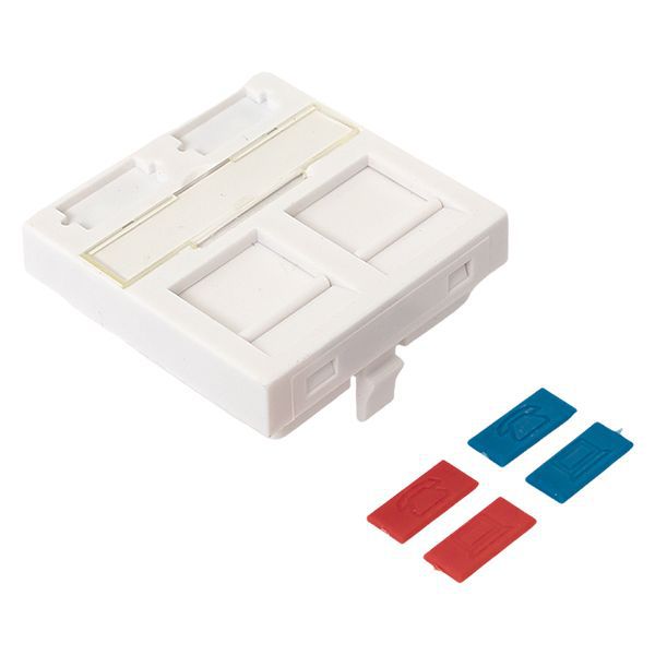  Вставка розеточная 45х45мм формат Mosaic на 2 модуля Keystone защ. шторки с маркерами бел. TERACOM PRO EKF TRP-INS-MOS-2M2P-WH фото в каталоге от BTSprom.by