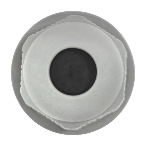  Сальник PG9 d4-8мм (d отверст. 16мм) IP54 (уп.4шт) PROxima EKF plc-pg-9-4-r фото в каталоге от BTSprom.by