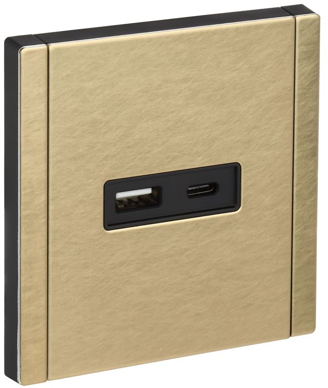 розетка forte&piano fp650m usb a+c 3.1а шампань iek fp-u22-d31-m-k37 от BTSprom.by