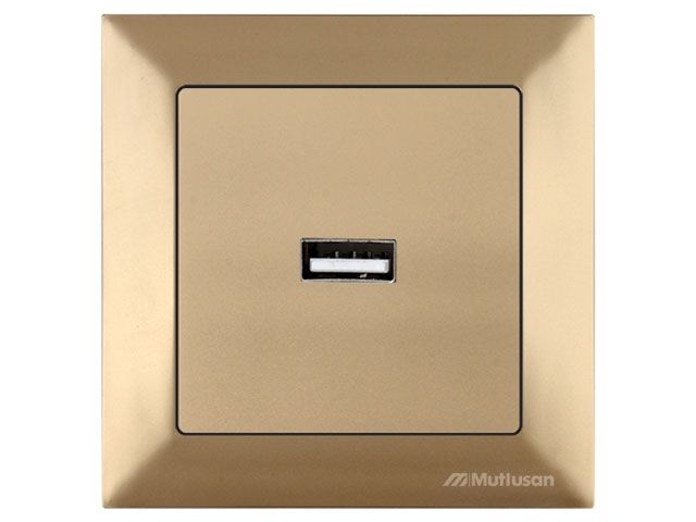 розетка 1-ая usb (скрытая) золото, daria, mutlusan 2120 448 0180 от BTSprom.by