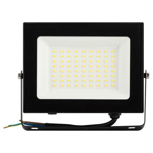  Прожектор светодиодный PRO LPR-062-0-65K-050 50Вт 6500К 5000лм IP65 призма Эра Б0064625 фото в каталоге от BTSprom.by