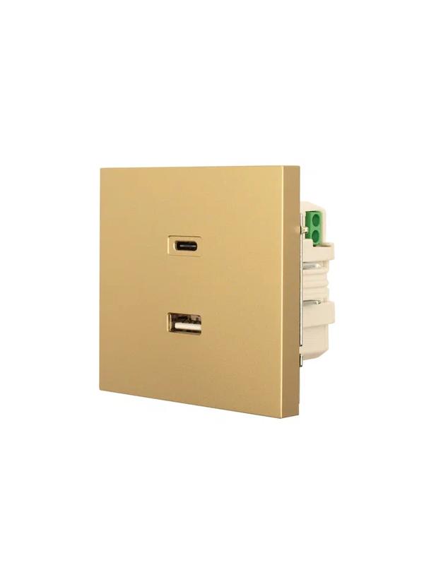  Розетка Type-C+ USB разъем СП ZIMA IP20 зол. LEZARD 704-3688-192TC фото в каталоге от BTSprom.by