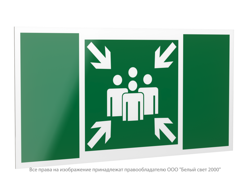 знак безопасности pp-40205.e21 "пункт (место) сбора" белый свет a20792 от BTSprom.by