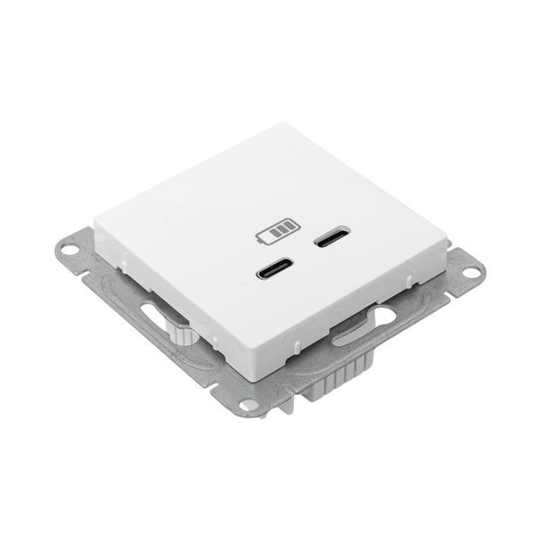  Розетка 2-м СП Эпика USB-C механизм бел. EKF UP1-SOW-2USBC фото в каталоге от BTSprom.by