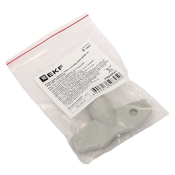  Ключ для замка треугольник для ЩМП-П IP65 PROxima EKF PB65KEY фото в каталоге от BTSprom.by