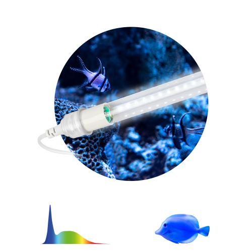 светильник светодиодный fito-10w-ra90-т8-aqua 10вт для аквариума (патроны в комплекте; ip20 лампа/ip65 патроны) полный спектр эра б0057417 от BTSprom.by
