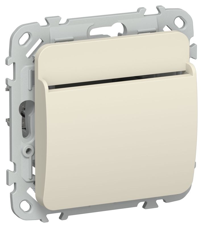 выключатель карточный сп flite вк-0-флсл 30а механизм сливочный iek fi-v11-0-10-k86 от BTSprom.by