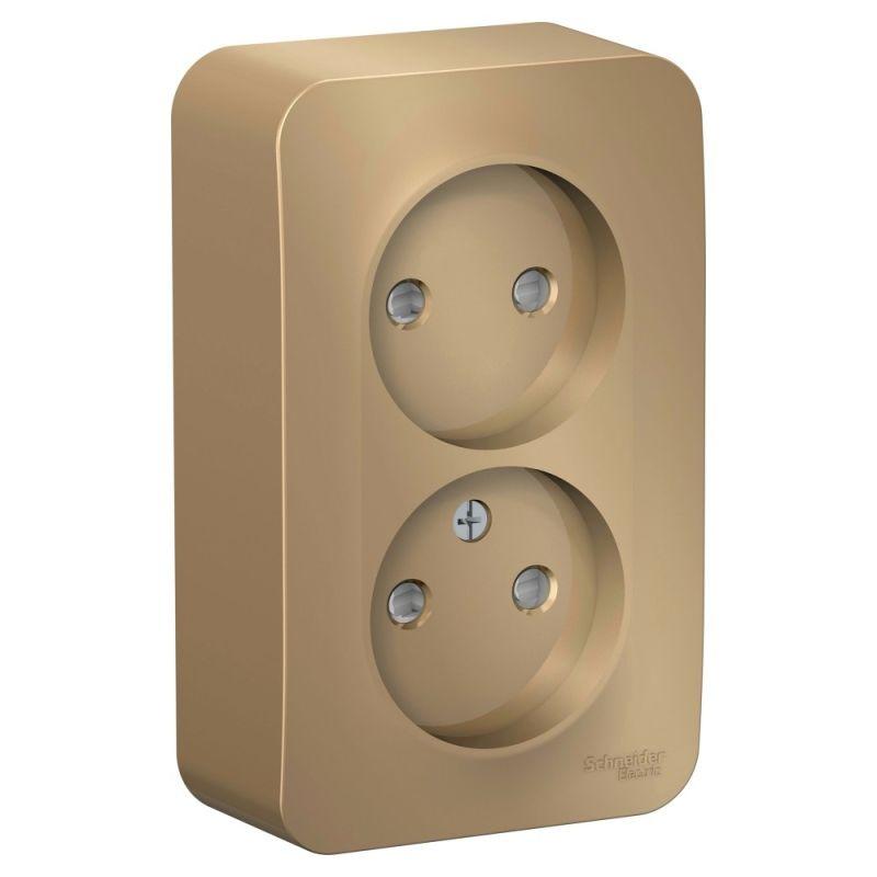 розетка 2-м оп blanca 16а ip20 250в без заземл. защ. шторки с изолир. пластиной титан se blnra001214 от BTSprom.by