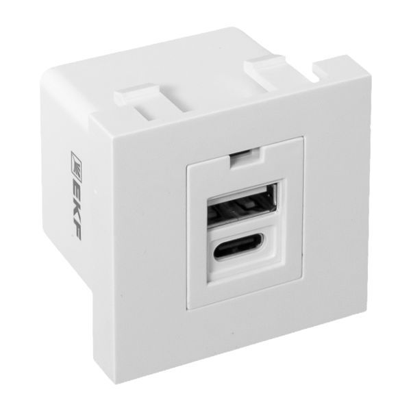  Розетка USB 2-м A+C 2.1А без индикатора бел. EKF E2MR2-21USB-10-AC фото в каталоге от BTSprom.by