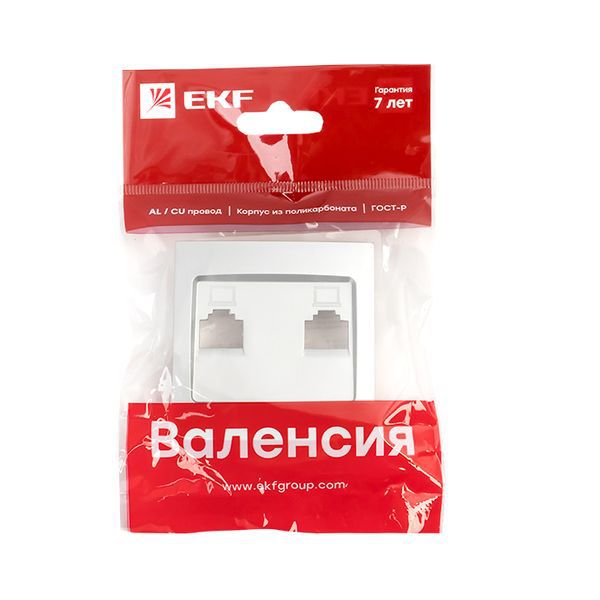  Панель лицевая Валенсия для розетки 2-м RJ-45 сталь PROxima EKF ESK02-L-035-30 фото в каталоге от BTSprom.by