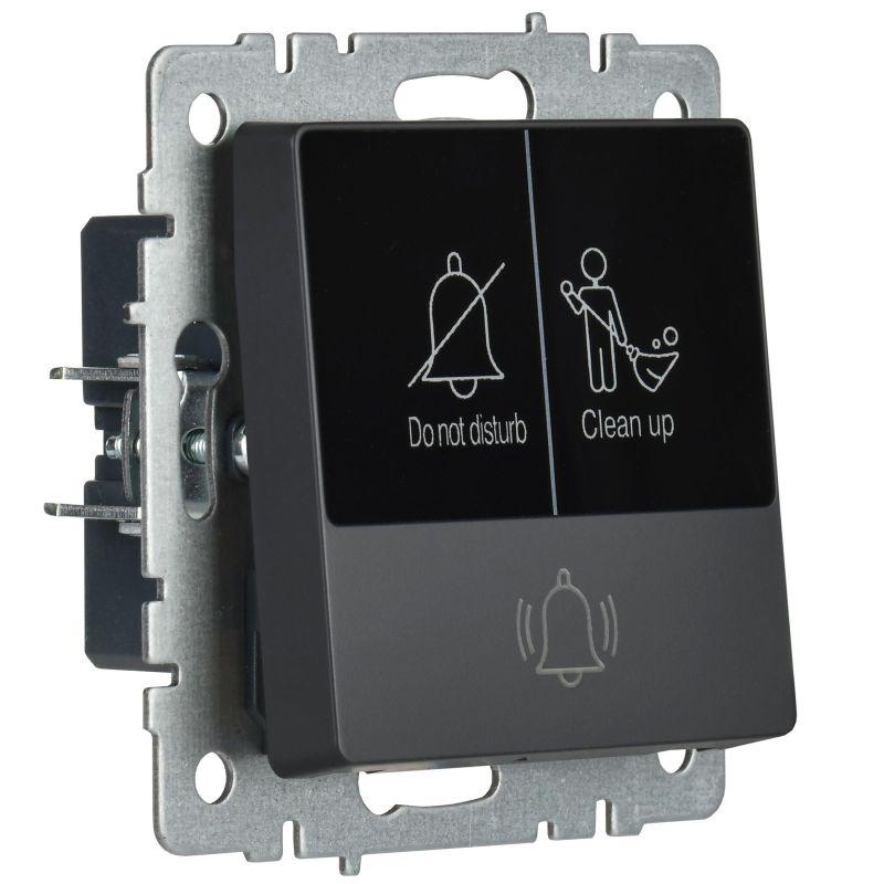  Кнопка звонка BRITE 10А ВС10-1-9-БрГ для отелей с индик. механизм графит IEK BR-V14-2-10-K53 фото в каталоге от BTSprom.by