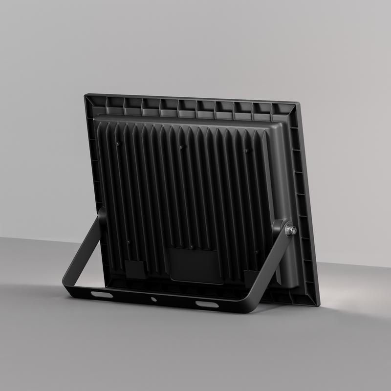  Прожектор Flood 100Вт 6500К 110град. IP65 Maytoni FL001-L100B6K фото в каталоге от BTSprom.by