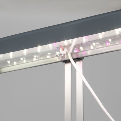  Светильник для растений FITO-20W-QLED-G 20Вт 220-240В 3500К IP40 +1град. до +35град.C 30000ч настол. ЭРА Б0039035 фото в каталоге от BTSprom.by