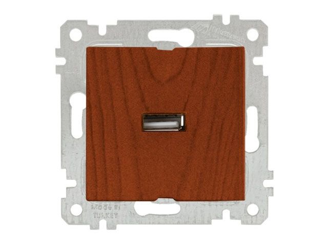 розетка 1-ая usb (скрытая, без рамки) вишня, rita, mutlusan (usb-зарядка, 5v-2.1a) 2200 448 0156 от BTSprom.by
