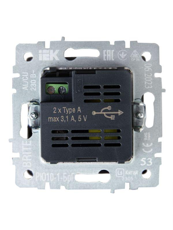  Розетка BRITE USB A+A 3.1А РЮ10-1-БрГ механизм графит IEK BR-U21-D31-K53 фото в каталоге от BTSprom.by