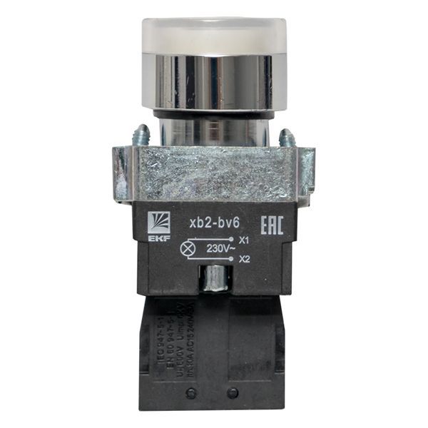  Кнопка BA21 с подсветкой 230В бел. NO PROxima EKF xb2-bw21-230 фото в каталоге от BTSprom.by
