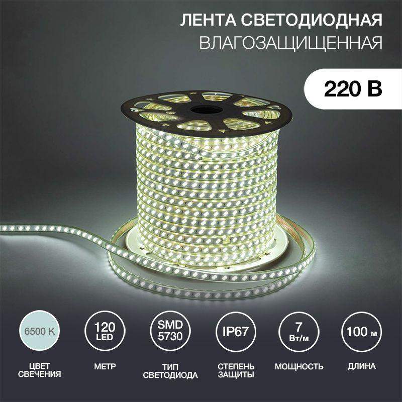 лента светодиодная smd5730 6.5x17мм 120led/м 220в ip67 бел. (уп.100м) neon-night 142-703 от BTSprom.by