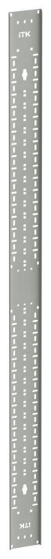 органайзер кабельный вертикальный 42u сер. linea s itk ls-co35-42u-v от BTSprom.by