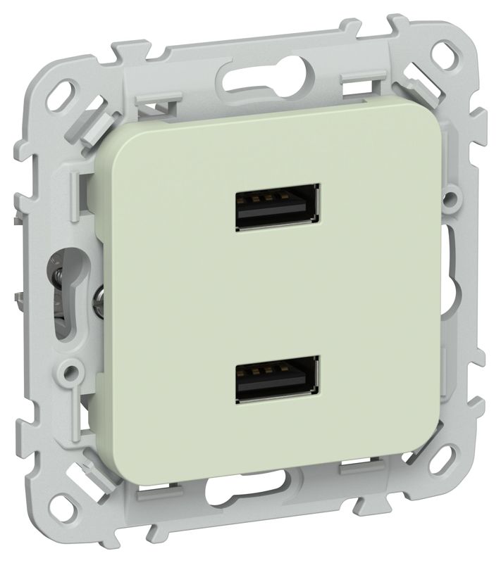 розетка usb сп flite рю-2-флп aa 2.1а механизм панг iek fi-u21-d31-k92 от BTSprom.by
