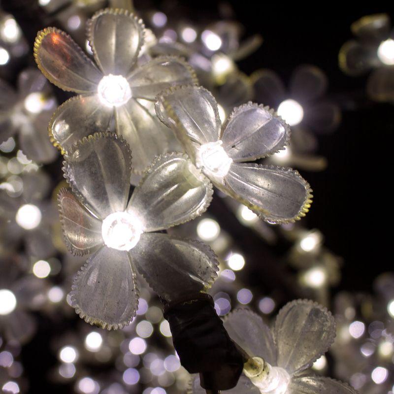 Лампа светодиодная Black 2Вт капсульная 4100К нейтр. бел. G4 200лм DC 12В GAUSS 207707202 фото в каталоге от BTSprom.by