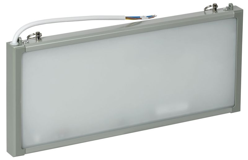 светильник светодиодный сса 302 1вт 1.5ч аварийный односторонний без наклейки iek lssa0-302-02-k03 от BTSprom.by