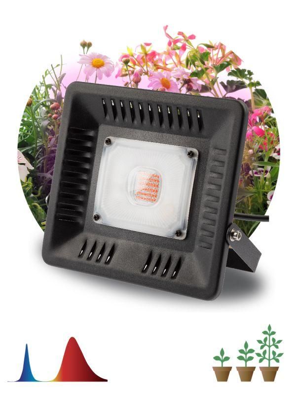 прожектор светодиодный для растений fito-50w-led bluered 50вт ip65 220-240в -30град. до + 45град. 30000ч для цветения и плодоношения красно-синего спектра эра б0039033 от BTSprom.by