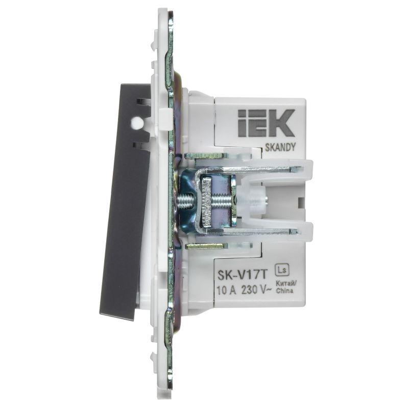  Кнопка звонка SKANDY 10А SK-V17T для отелей с индикацией титан IEK SK-V14-2-10-K48 фото в каталоге от BTSprom.by