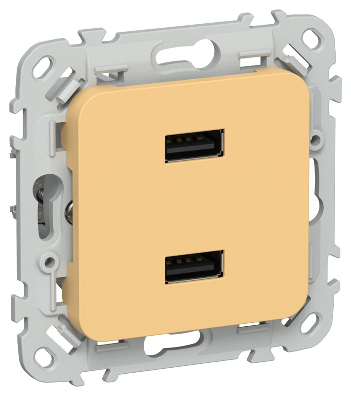 розетка usb сп flite рю-2-флз aa 2.1а механизм золотарник iek fi-u21-d31-k90 от BTSprom.by