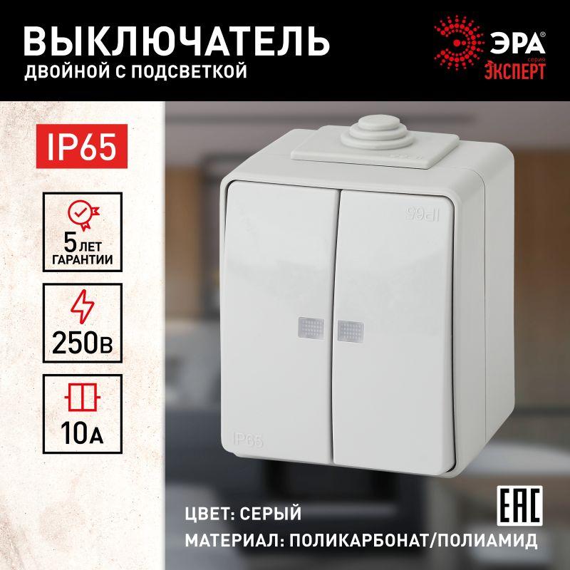 выключатель 2-кл. оп эра эксперт 10а ip65 11-1605-03 250в 10ax с подсветкой сер. эра б0035977 от BTSprom.by