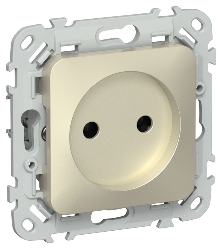 розетка сп flite рс01-1-флш 10а без заземл. без защ. шторок безвинтовое крепление механизм шампань iek fi-r10-10-1-k37 от BTSprom.by