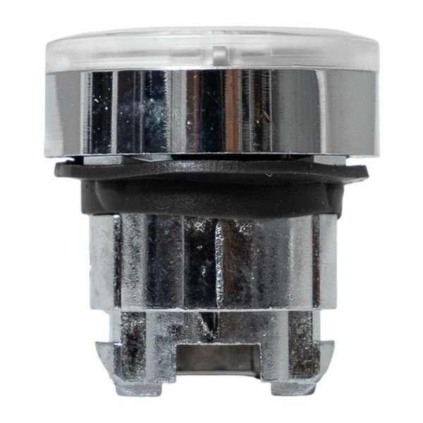  Механизм кнопки исполнительный XB4 IP65 плоский возвратный без фиксации с подсветкой бел. EKF XB4BW-W-65 фото в каталоге от BTSprom.by