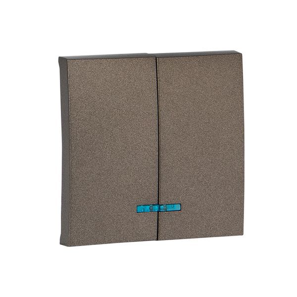  Панель лицевая Валенсия для выключателя 2-кл. с индикатором 10А графит PROxima EKF ESV10-L-123-60 фото в каталоге от BTSprom.by