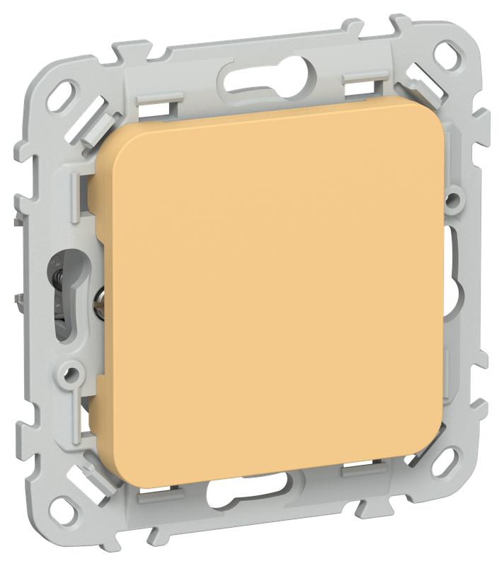 заглушка сп flite зг-флз с суппортом механизм золотарник iek fi-pl10-k90 от BTSprom.by