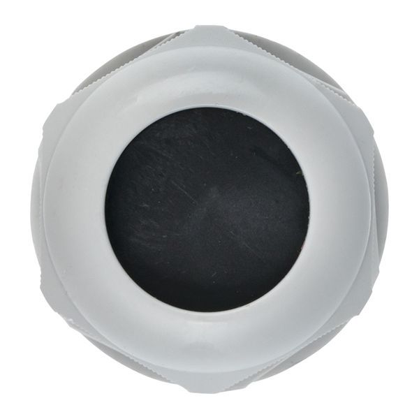  Сальник PG29 d18-25мм (d отверст. 36мм) IP54 PROxima EKF plc-pg-29-r фото в каталоге от BTSprom.by